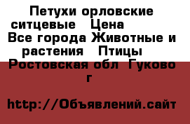 Петухи орловские ситцевые › Цена ­ 1 000 - Все города Животные и растения » Птицы   . Ростовская обл.,Гуково г.
